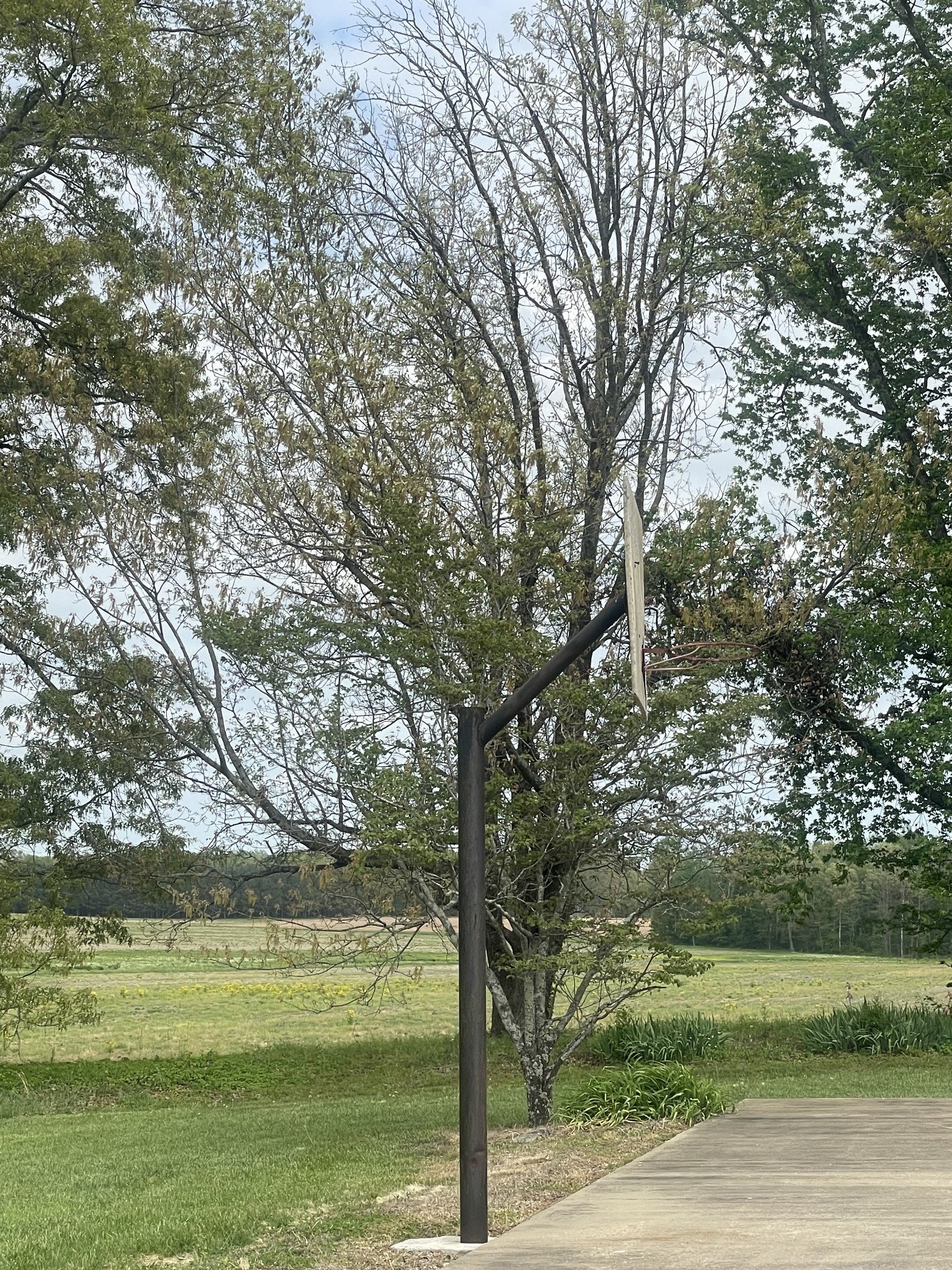 28 Ok Road Lawrenceburg, TN 38464 - Photo 11 of 19