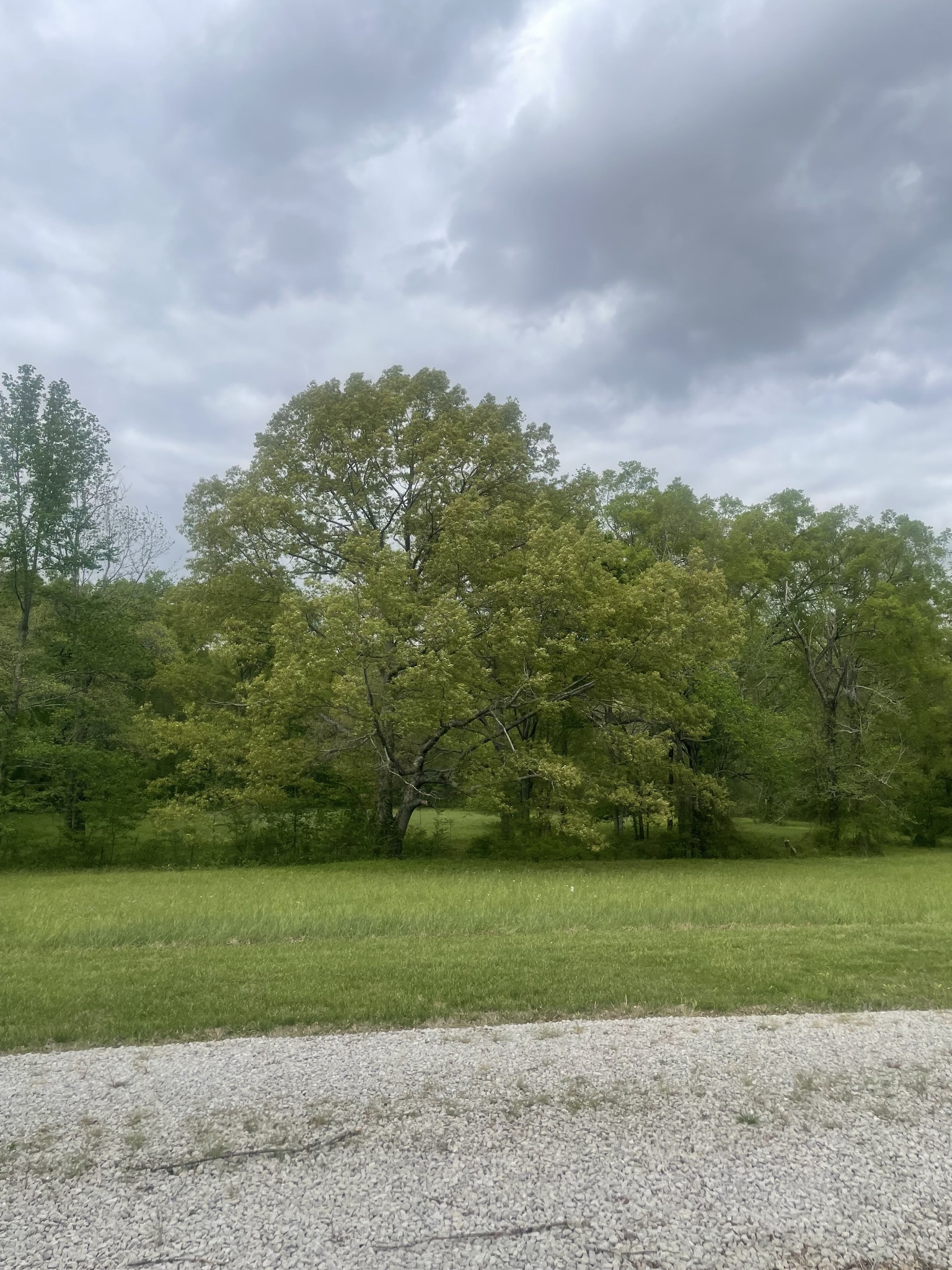 28 Ok Road Lawrenceburg, TN 38464 - Photo 12 of 19