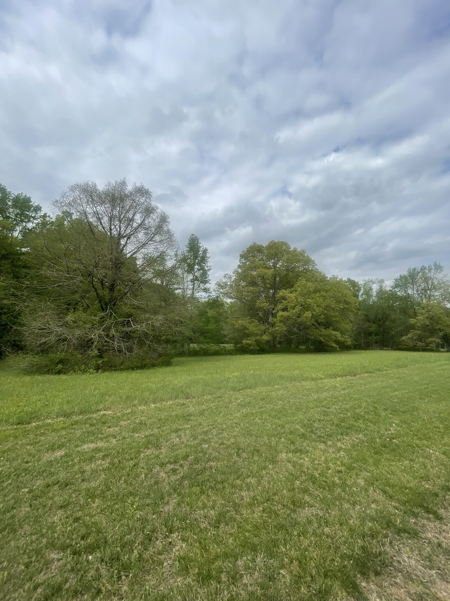 28 Ok Road Lawrenceburg, TN 38464 - Photo 13 of 19