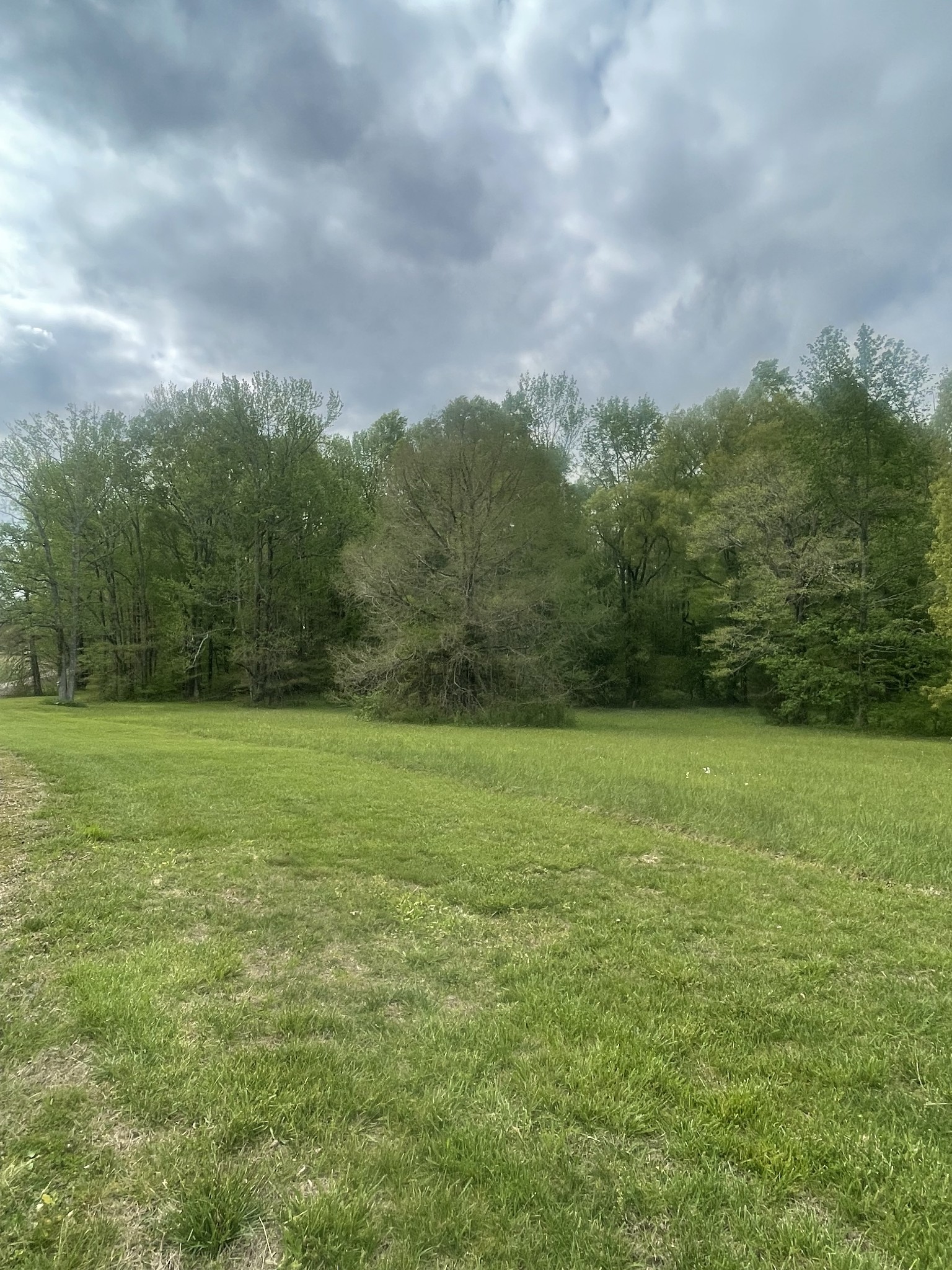 28 Ok Road Lawrenceburg, TN 38464 - Photo 15 of 19