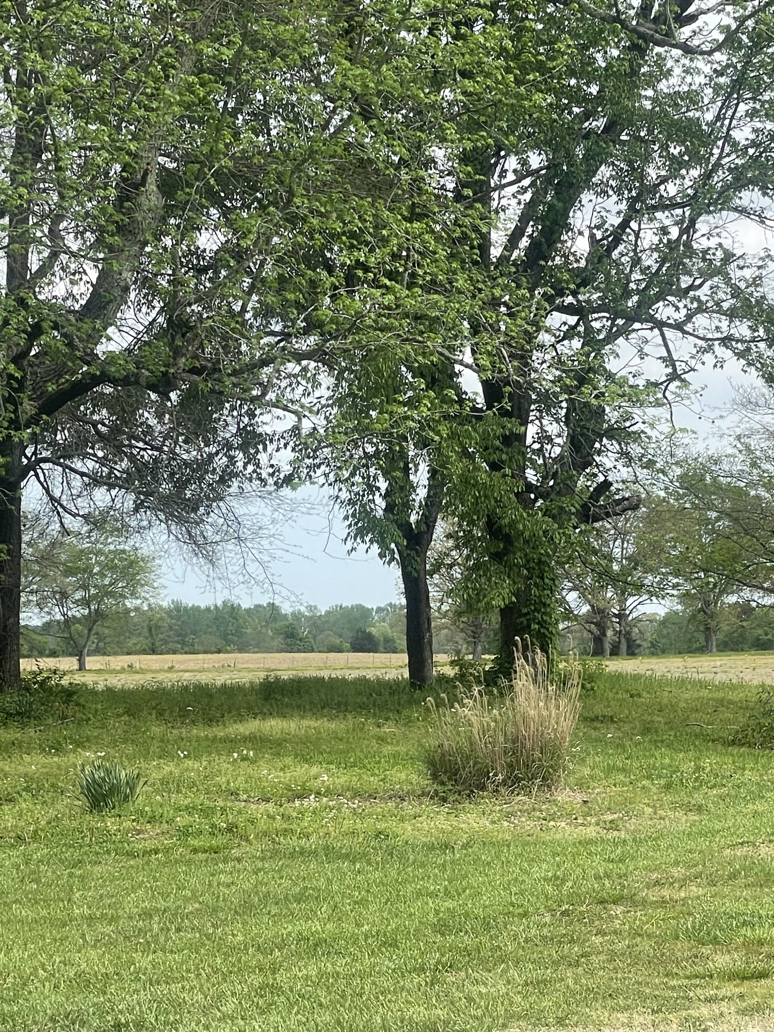 28 Ok Road Lawrenceburg, TN 38464 - Photo 17 of 19