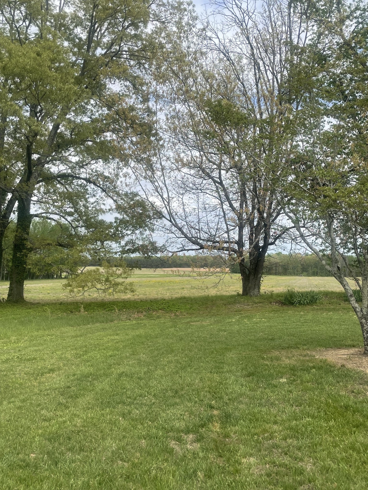 28 Ok Road Lawrenceburg, TN 38464 - Photo 8 of 19