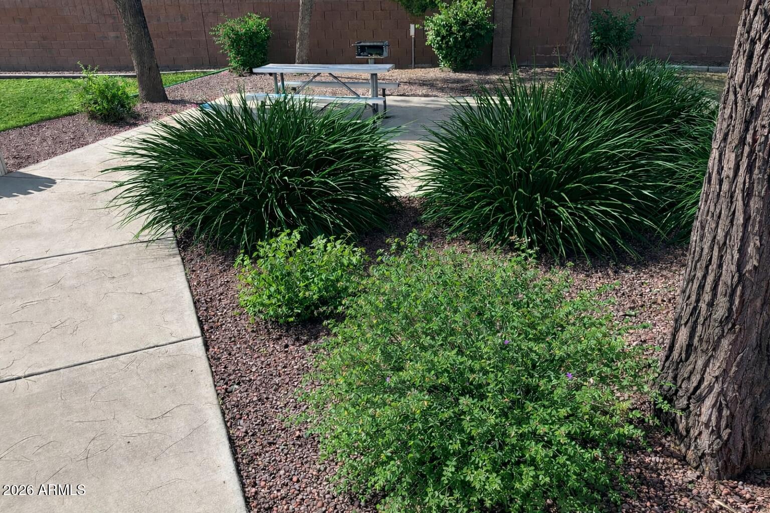 4106 East Chambers Street Phoenix, AZ 85040 - Photo 32 of 33 a view of a garden