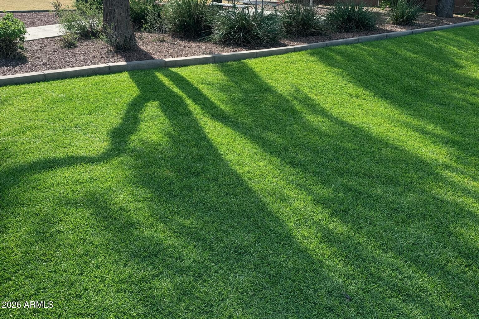 4106 East Chambers Street Phoenix, AZ 85040 - Photo 33 of 33 a view of an outdoor space and yard
