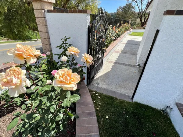 a view of a pathway with flower plants
