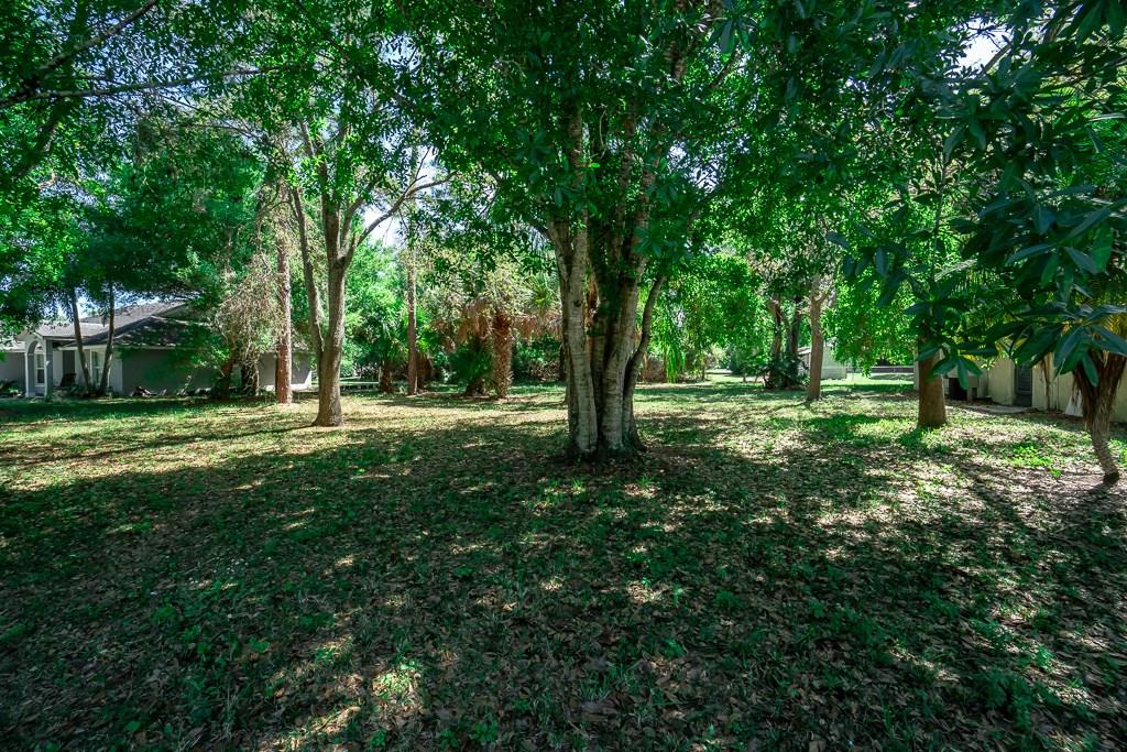 7407 Bayard Road Fort Pierce, FL 34951 - Photo 4 of 24