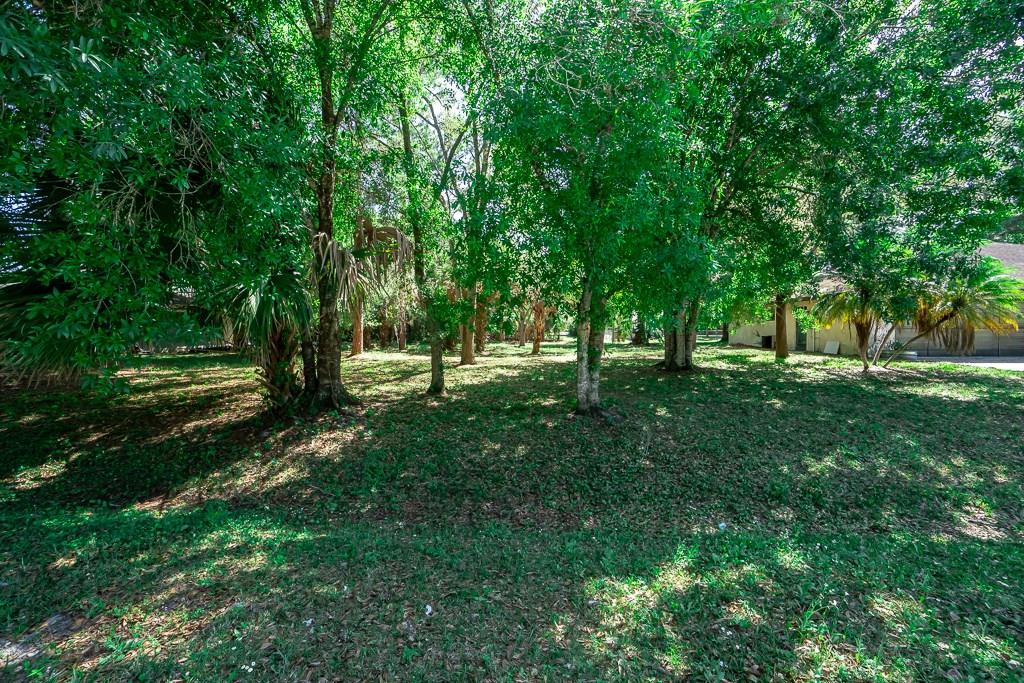 7407 Bayard Road Fort Pierce, FL 34951 - Photo 5 of 24