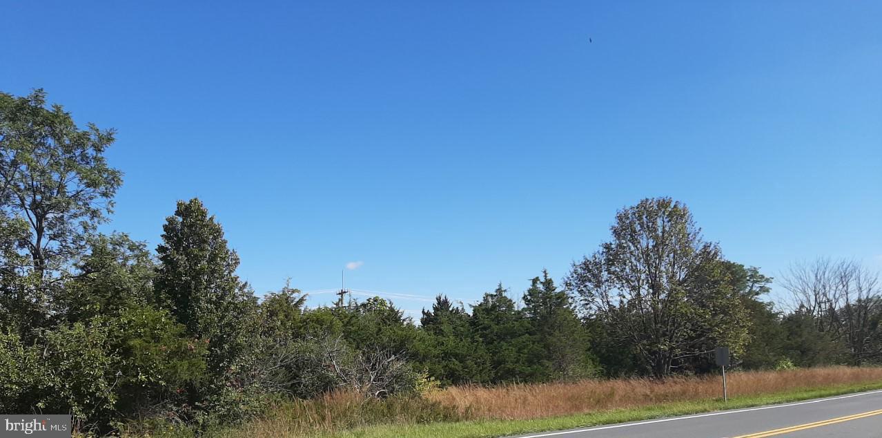 0 Double Tollgate Road White Post, VA 22663 - Photo 2 of 8