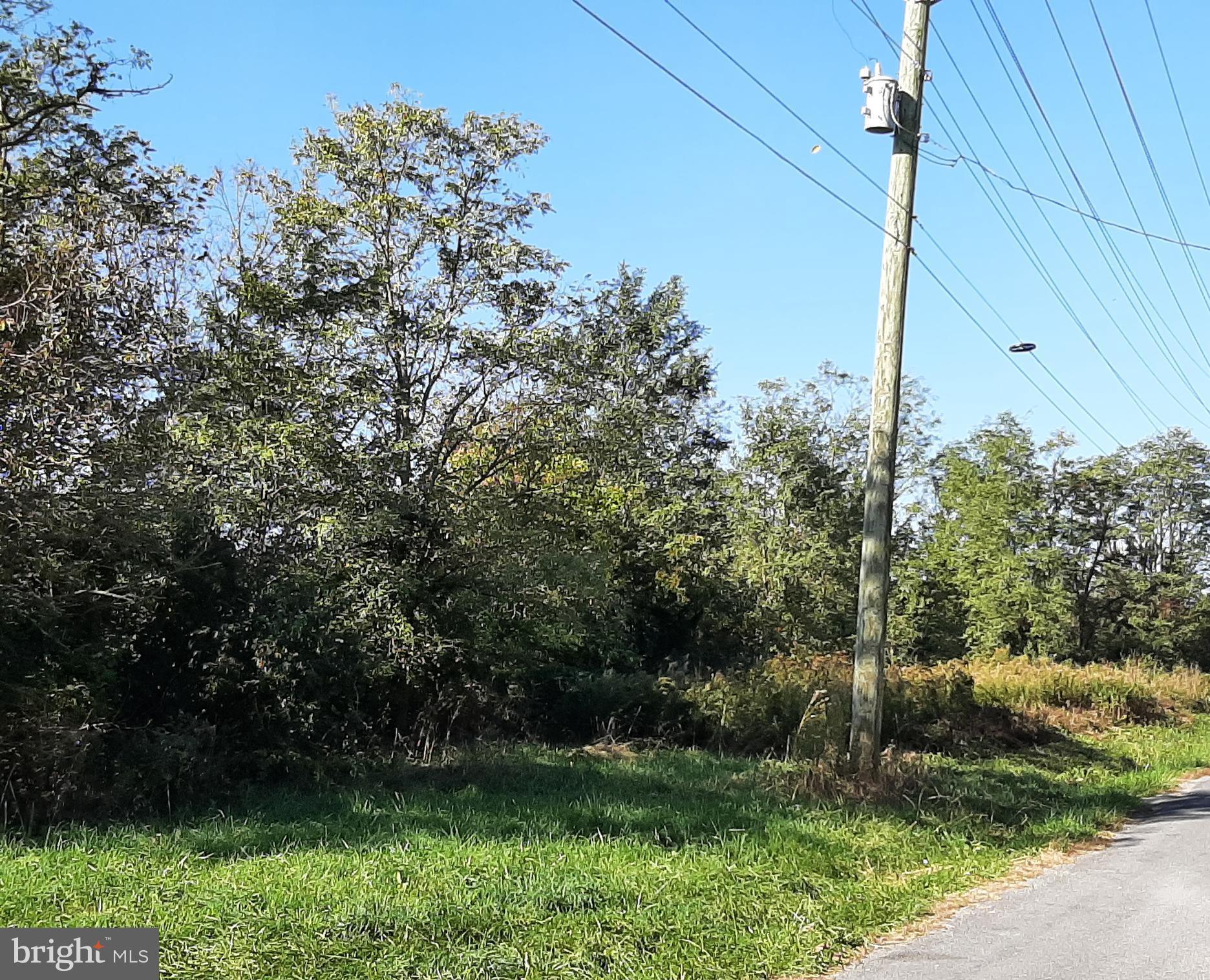 0 Double Tollgate Road White Post, VA 22663 - Photo 4 of 8