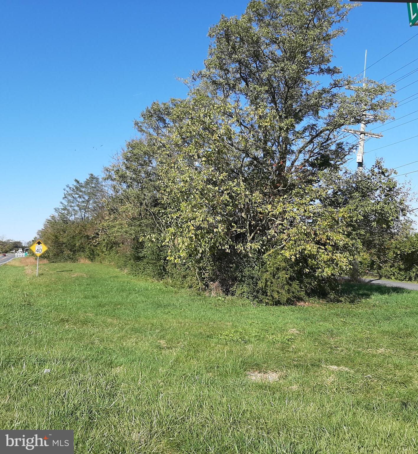 0 Double Tollgate Road White Post, VA 22663 - Photo 6 of 8