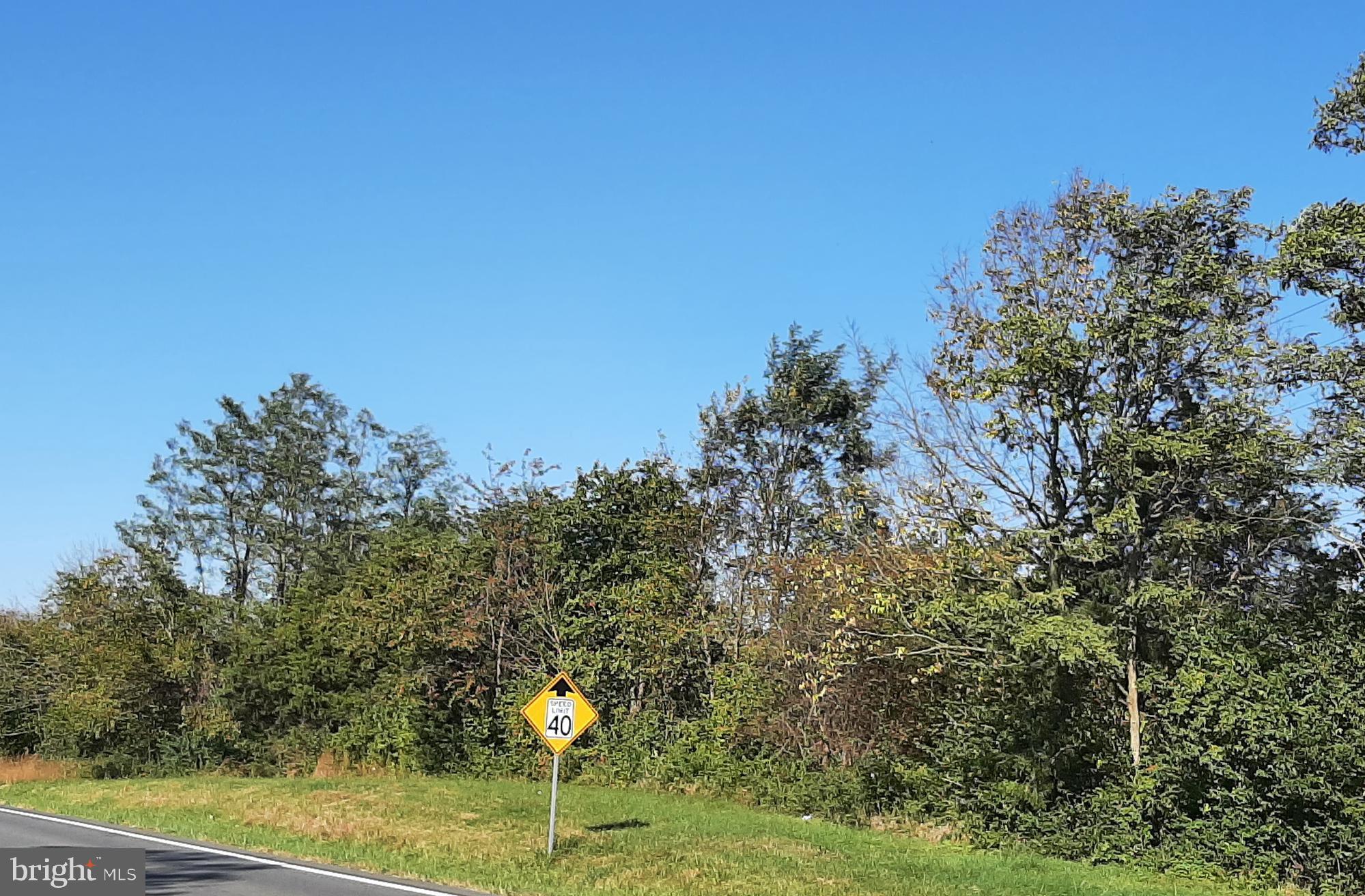 0 Double Tollgate Road White Post, VA 22663 - Photo 8 of 8