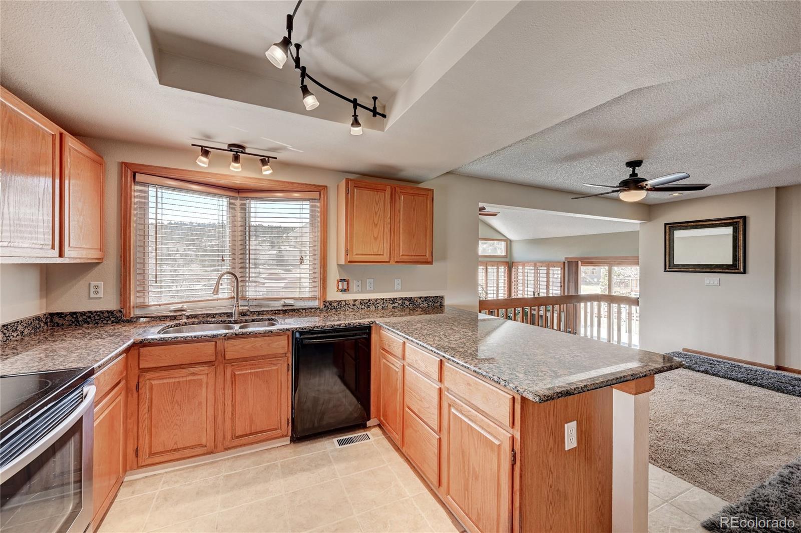 24040 Genesee Village Road Golden, CO 80401 - Photo 10 of 22 Gallery Image 10