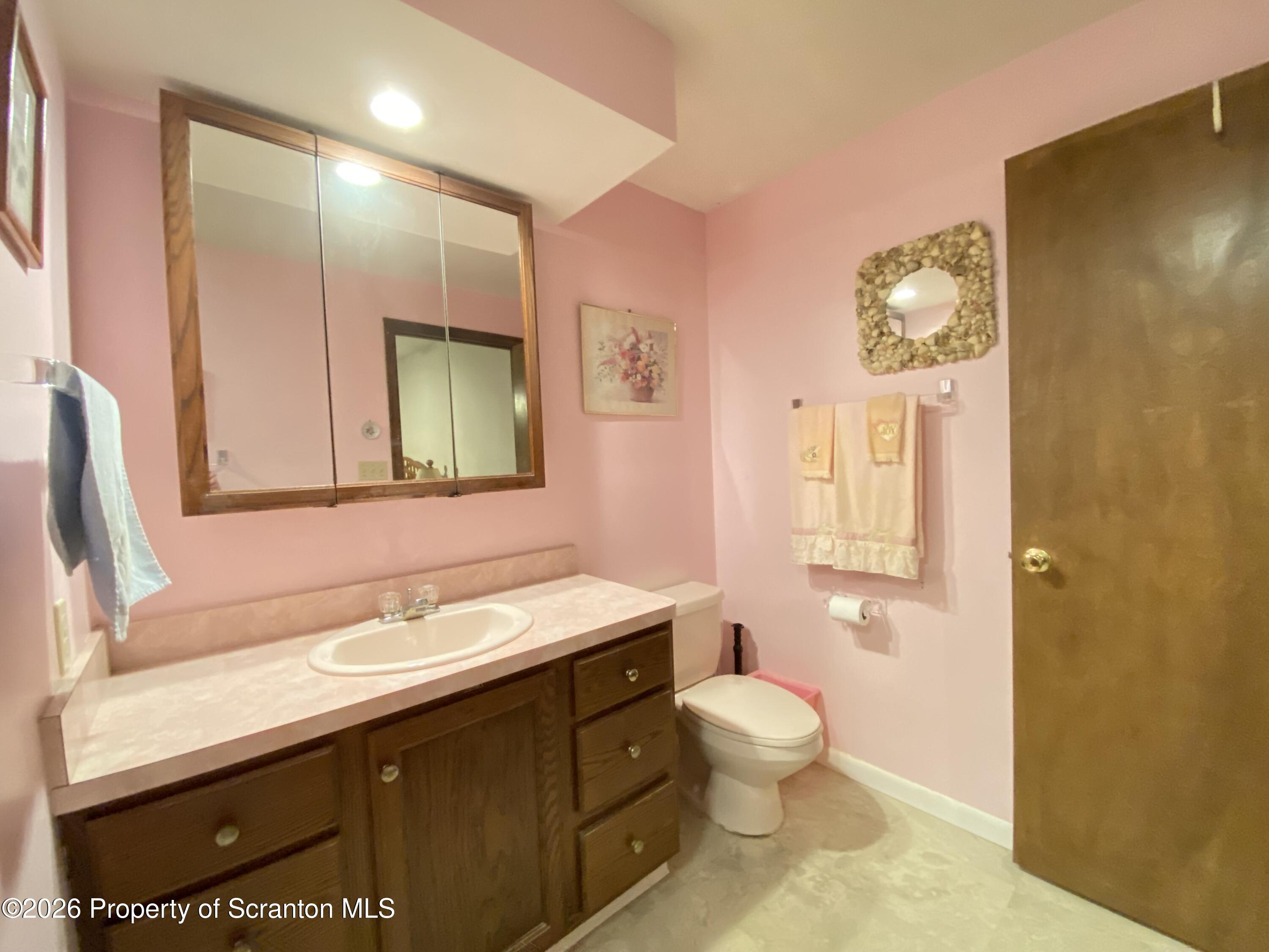 1303 Ridgewood Avenue Scranton, PA 18505 - Photo 33 of 57 a bathroom with a sink a toilet and a large mirror