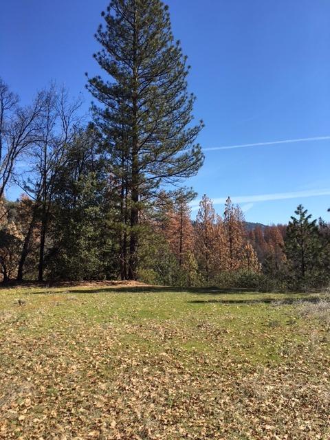 52857 Timberview Road North Fork, CA 93643 - Photo 1 of 8 Gallery Image 1