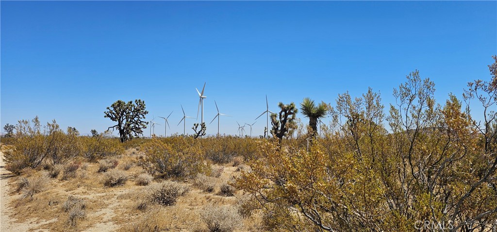 0 Forty Fifth Street Mojave, CA 93501 - Photo 4 of 6 a view of a large yard