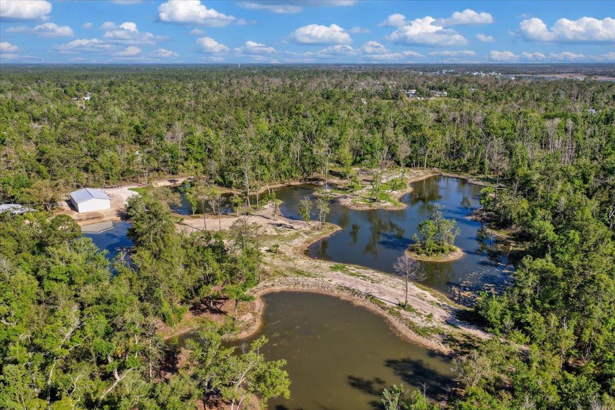 0 Northwest Roys Road Steinhatchee, FL 32359 - Photo 61 of 70