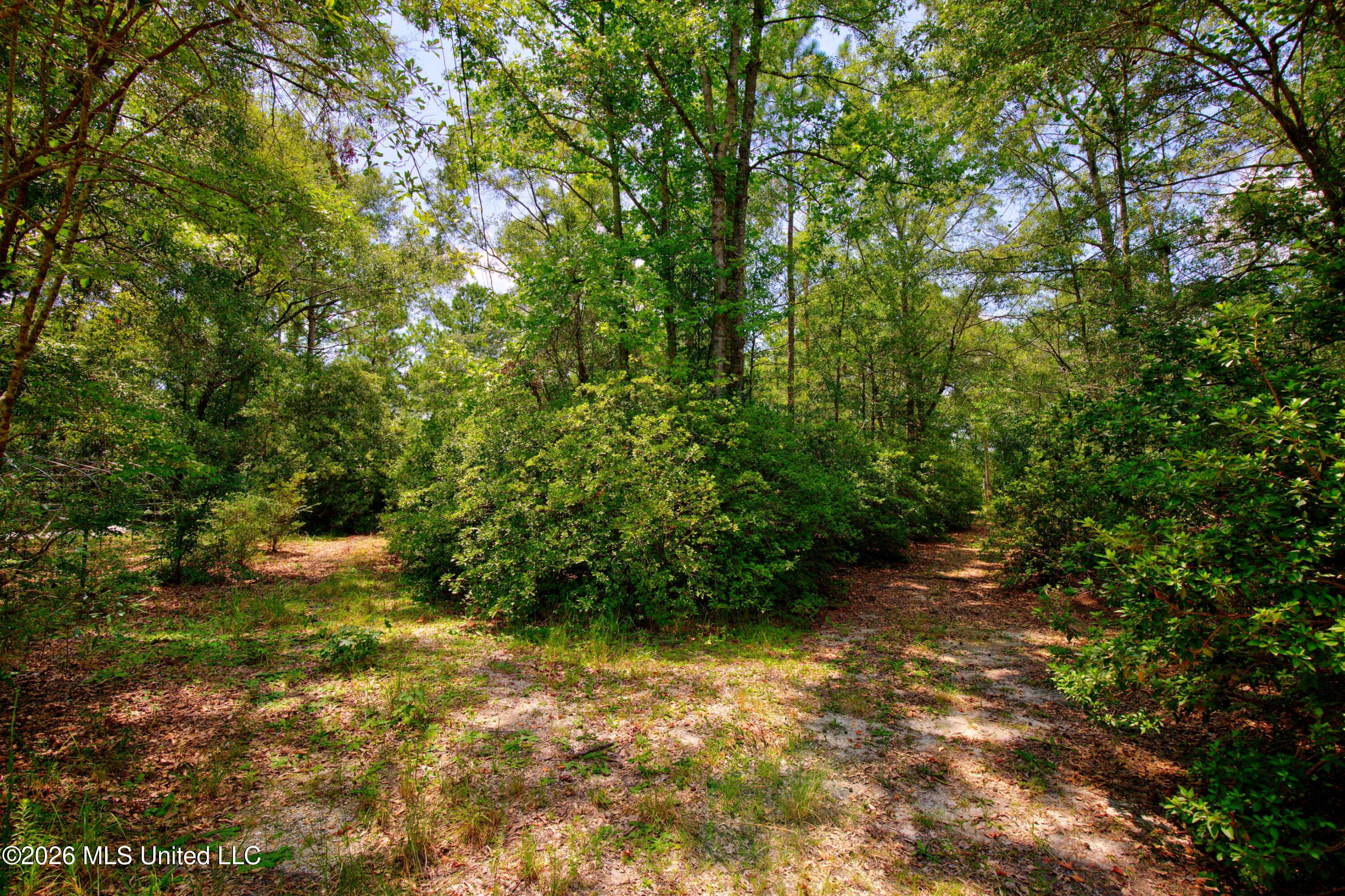 20237 Fox Ridge Drive Saucier, MS 39574 - Photo 23 of 32 20237FoxRidgeDr.-30