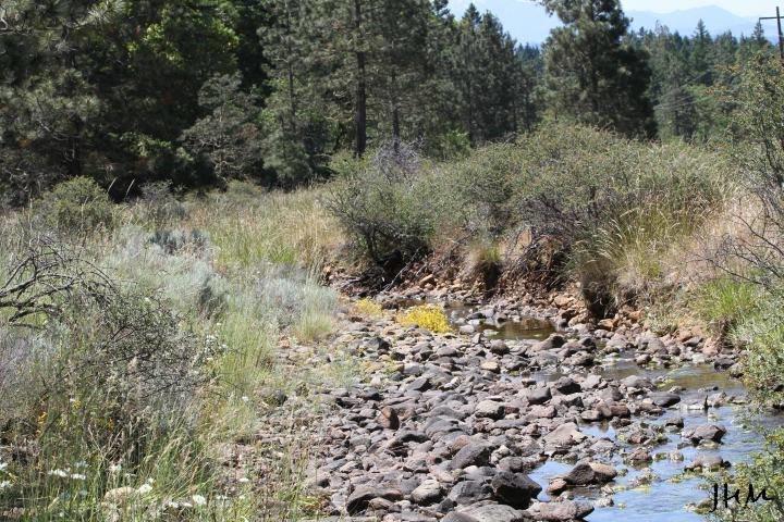 5389 West Side Road Cave Junction, OR 97523 - Photo 4 of 11 Additional Photo