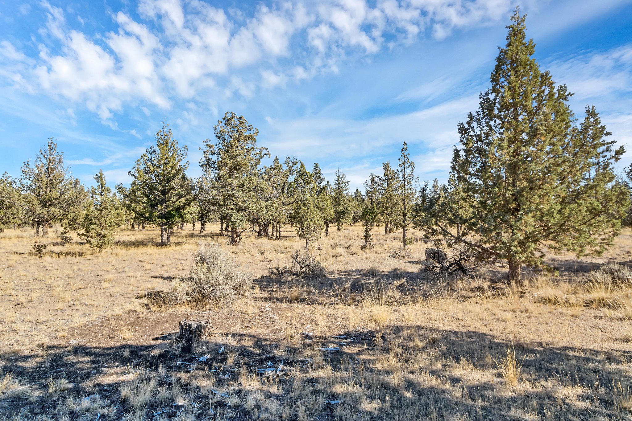 9644 Northwest Rocky Road Powell Butte, OR 97753 - Photo 14 of 31 DSC02179