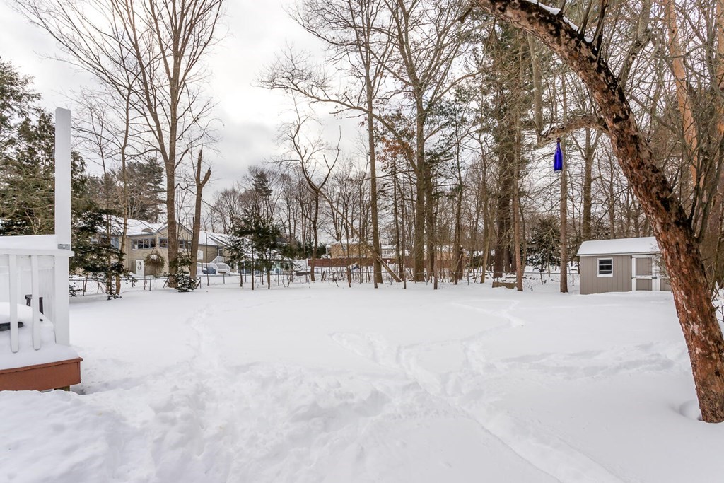 15 Morton Street Canton, MA 02021 - Photo 23 of 25 Gallery Image 23