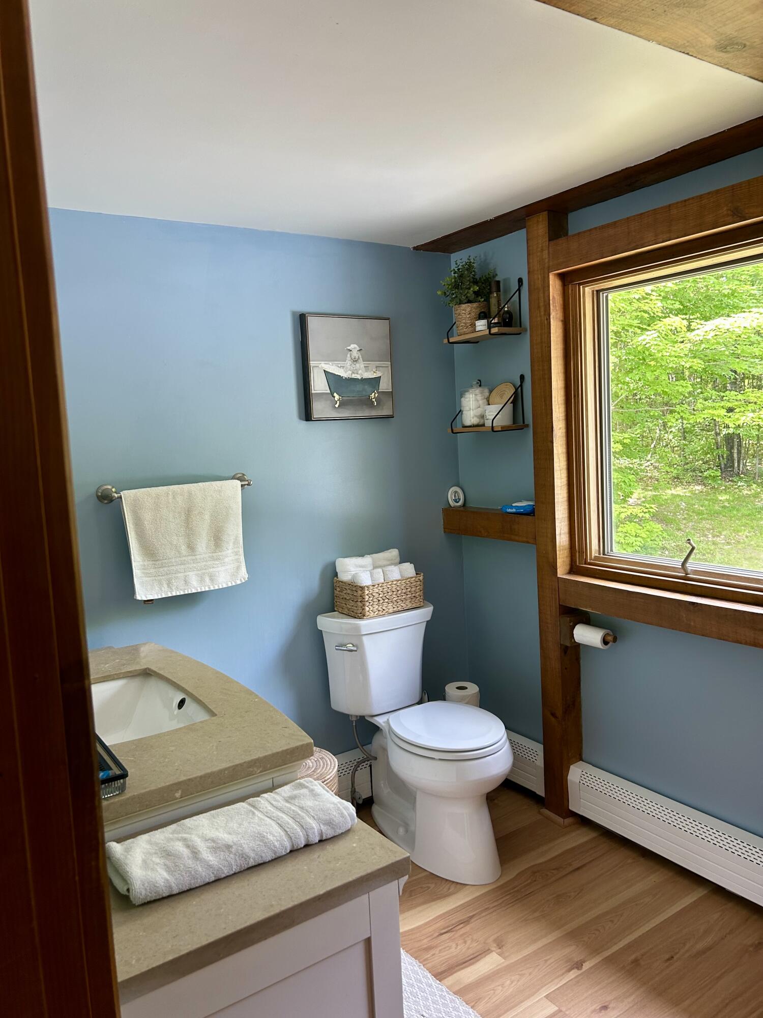45 Ramsdell Road Kingfield, ME 04947 - Photo 27 of 50 IMG_8383
