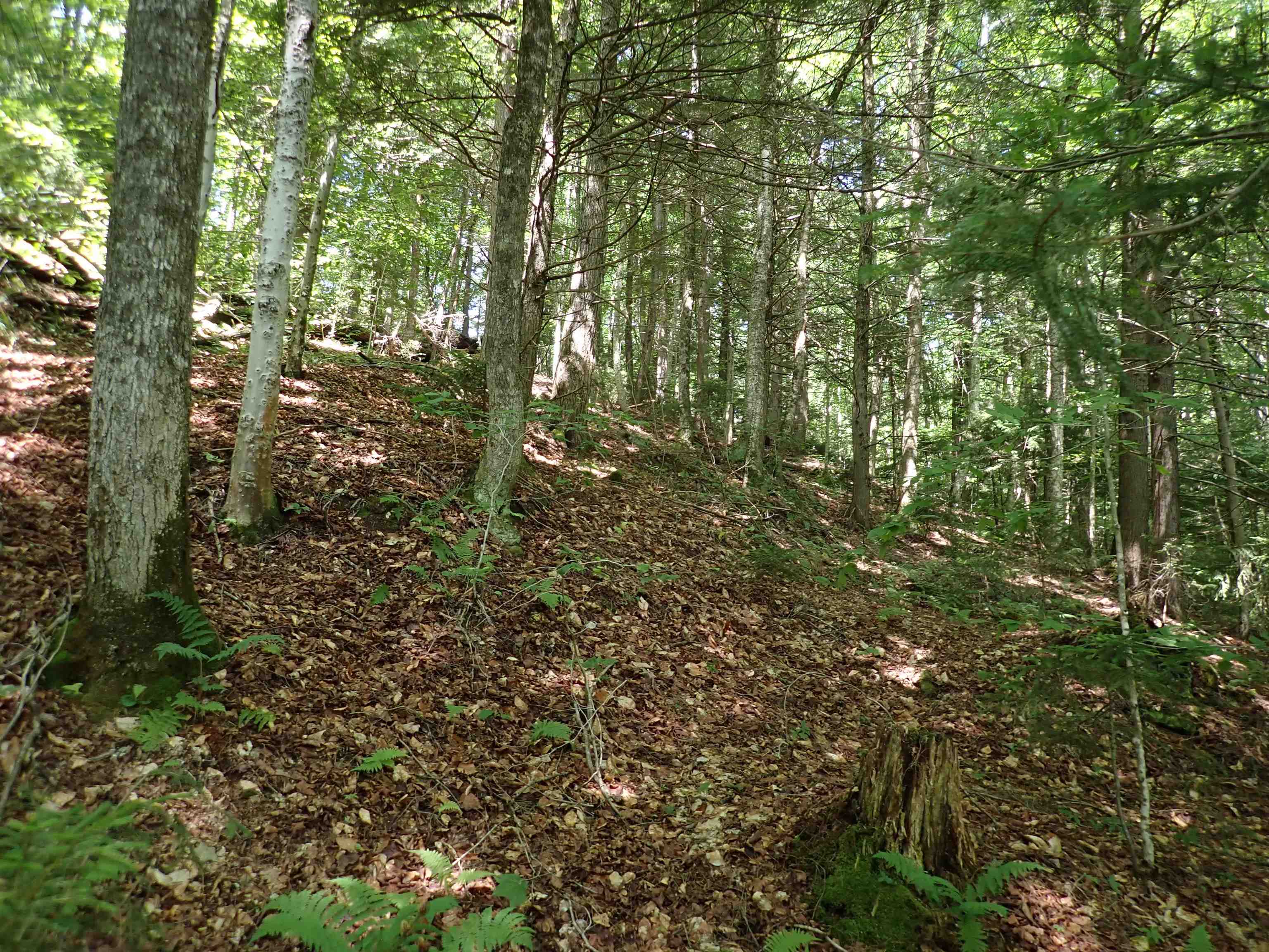 0 Schoolhouse Road Jamaica, VT 05343 - Photo 4 of 20 Gallery Image 4