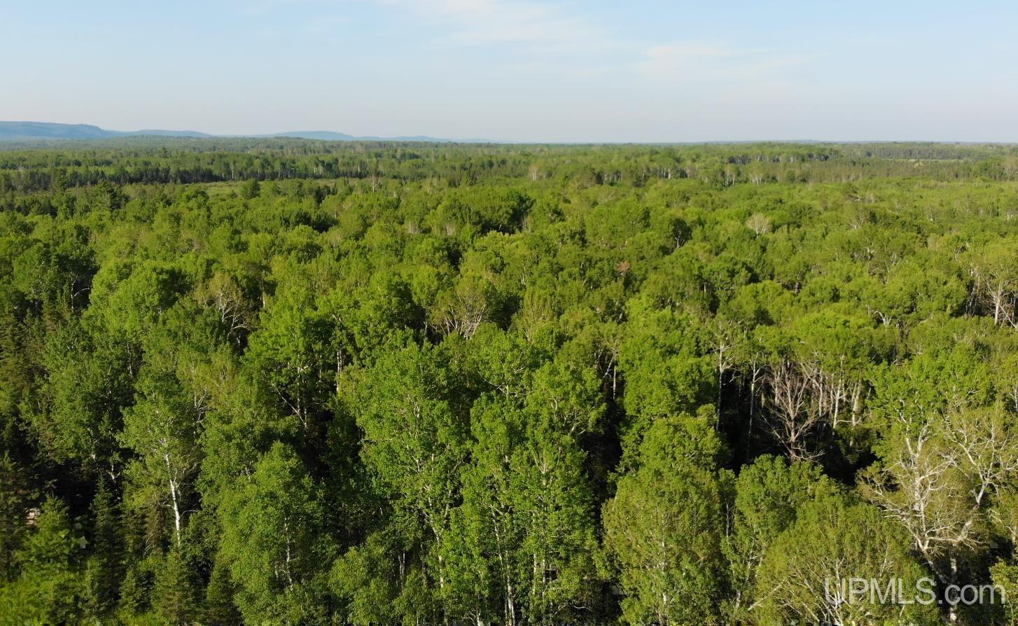 1 Cole Road Ewen, MI 49925 - Photo 17 of 18 Gallery Image 17