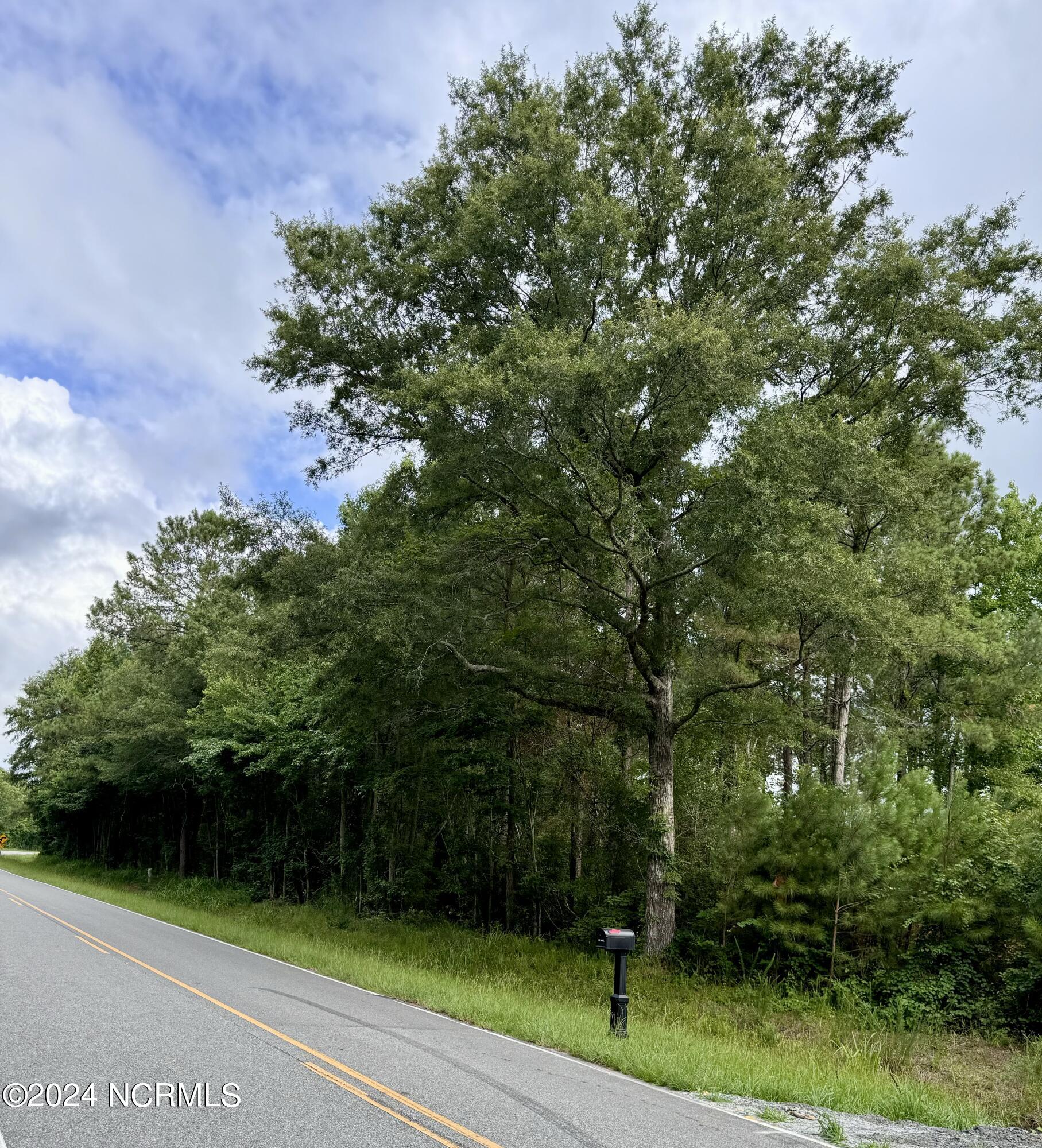 5703 Kelly Road Bath, NC 27808 - Photo 6 of 6 land View Martin