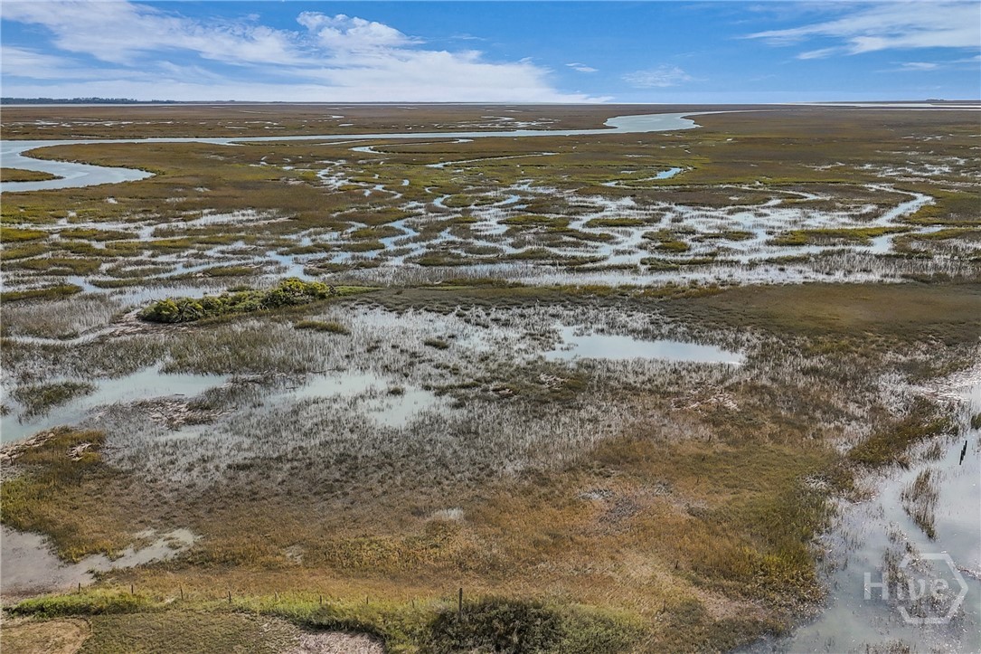 1206 Walthour Road Savannah, GA 31410 - Photo 63 of 70