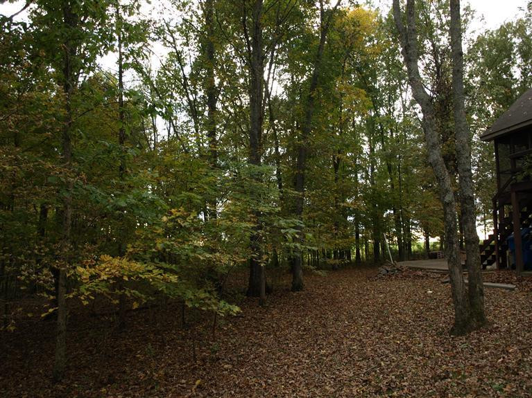 1518 Wildcat Road Lawrenceburg, KY 40342 - Photo 21 of 24 Photo 21