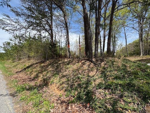1 Stage Road Concord, VA 24538 - Photo 2 of 8 a big yard with lots of green space