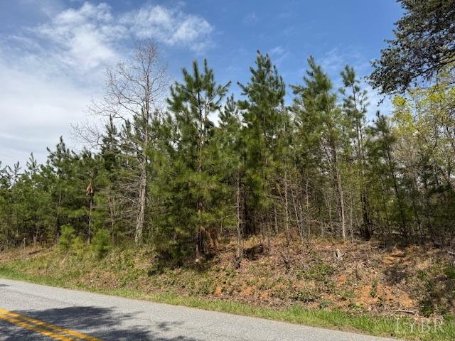 1 Stage Road Concord, VA 24538 - Photo 4 of 8 a view of a forest with trees in the background