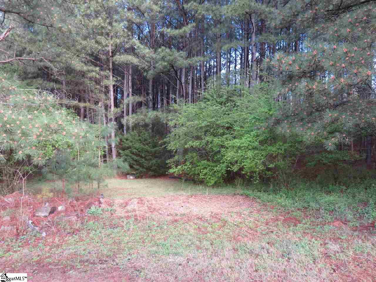 301 Elijah Simmons Road Woodruff, SC 29388 - Photo 10 of 36 Gallery Image 10