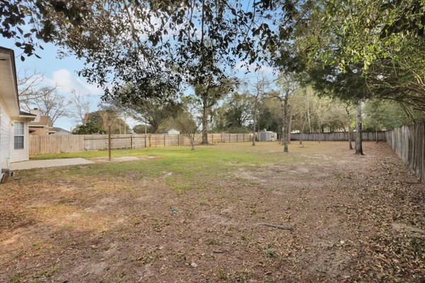 a view of a park with large trees