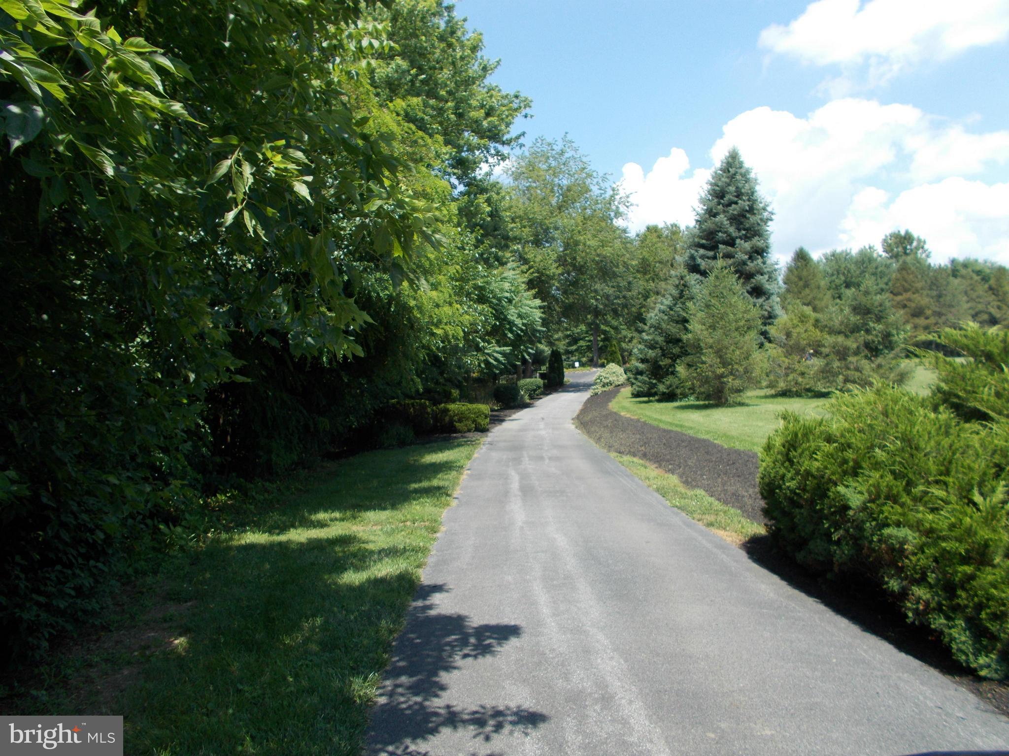 15712 Spade Road Hagerstown, MD 21740 - Photo 2 of 30 a view of street view with outdoor space