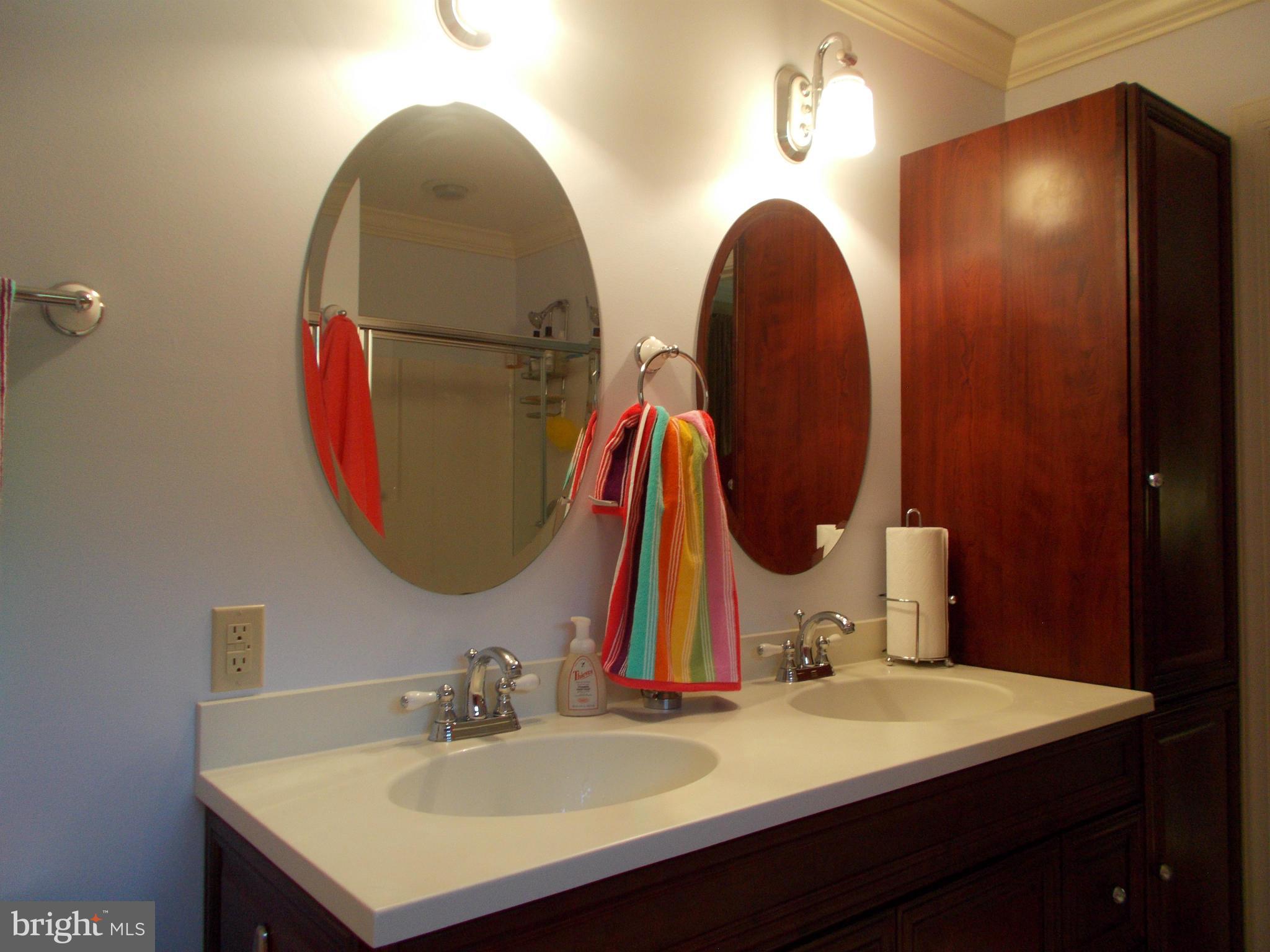 15712 Spade Road Hagerstown, MD 21740 - Photo 16 of 30 a bathroom with a sink and a mirror