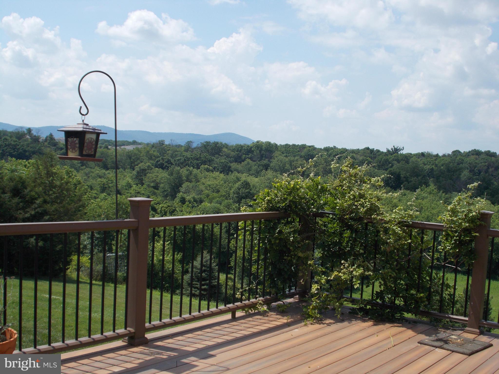 15712 Spade Road Hagerstown, MD 21740 - Photo 28 of 30 a view of a balcony with wooden floor and fence