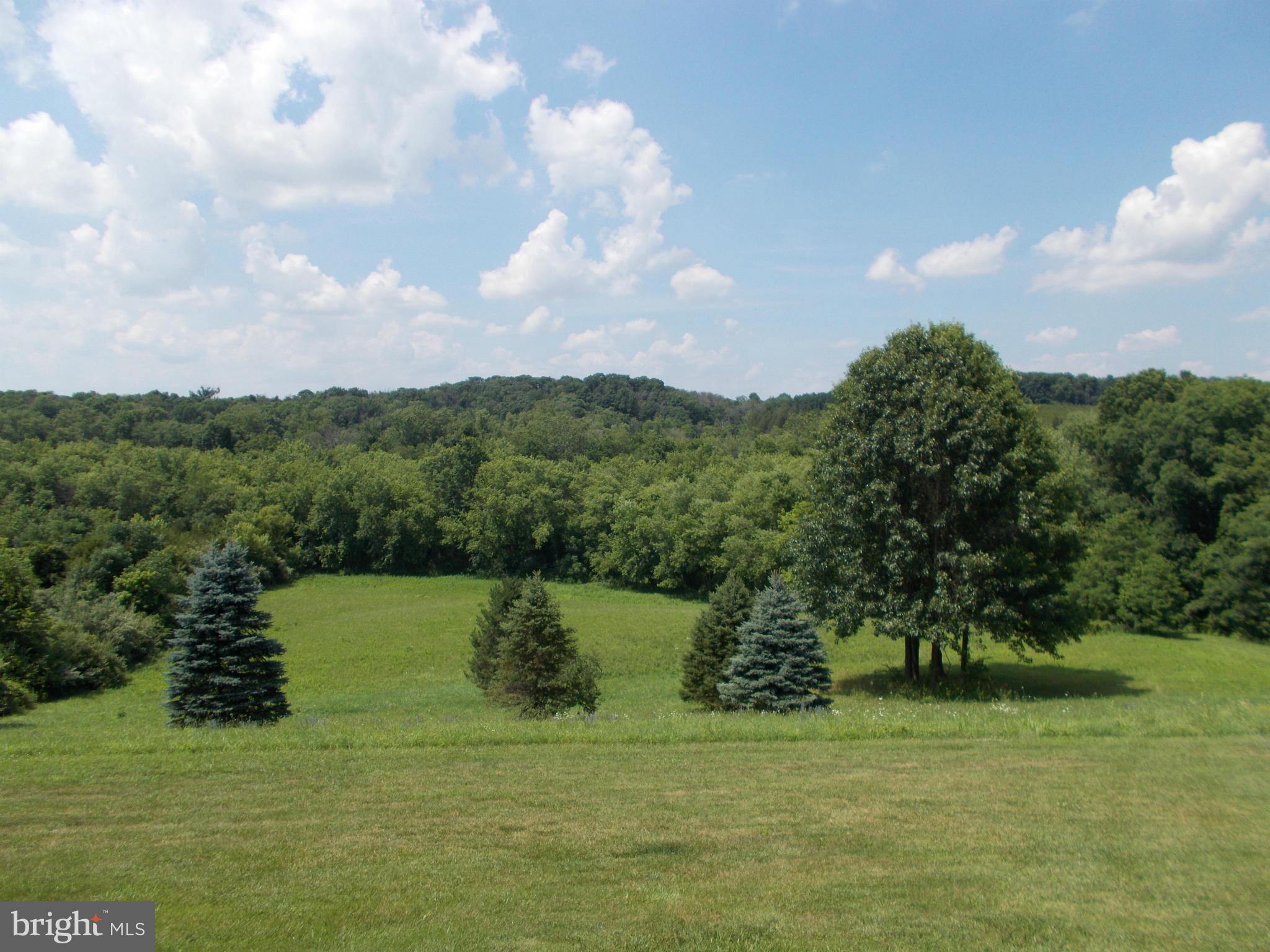 15712 Spade Road Hagerstown, MD 21740 - Photo 6 of 30 a view of a grassy field with an trees