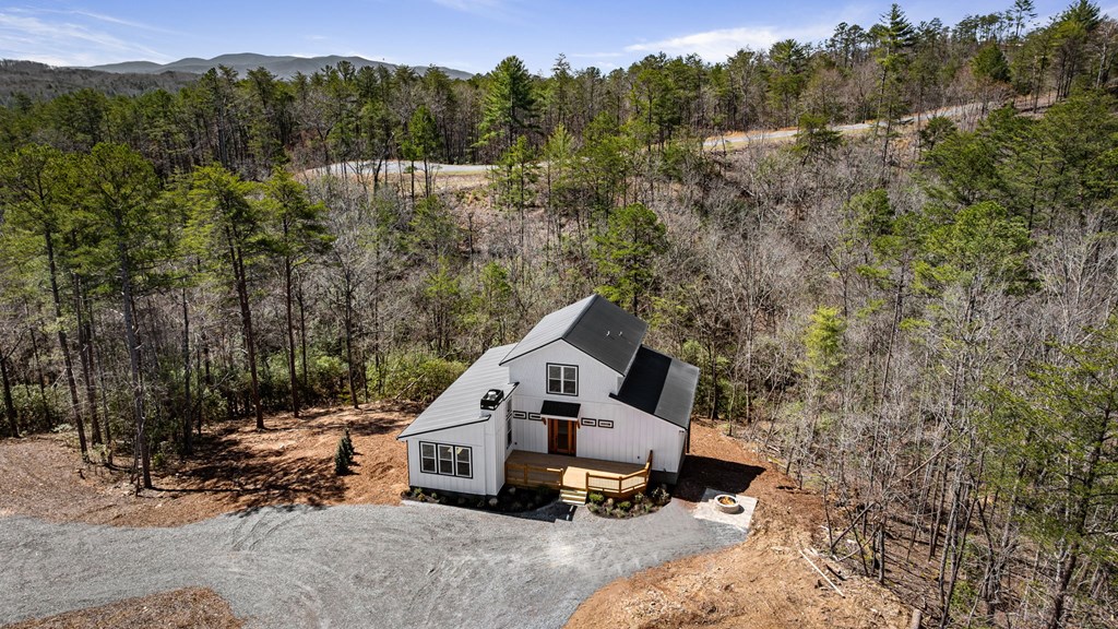 295 Mountain Laurel Ridge Mineral Bluff, GA 30559 - Photo 3 of 15