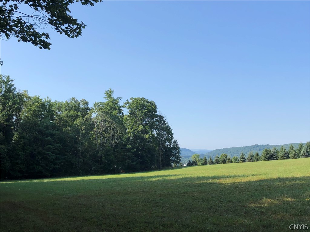 0 Sherman Road Greene, NY 13778 - Photo 1 of 1 Gallery Image 1