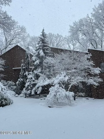 a view of outdoor space and yard
