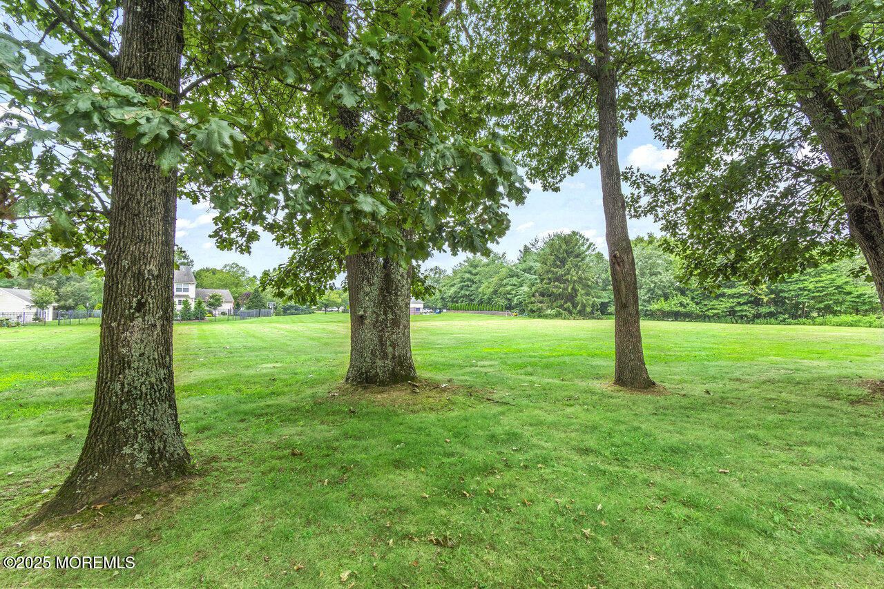 31 Thompson Grove Road Freehold, NJ 07728 - Photo 50 of 54 a view of a trees with a yard