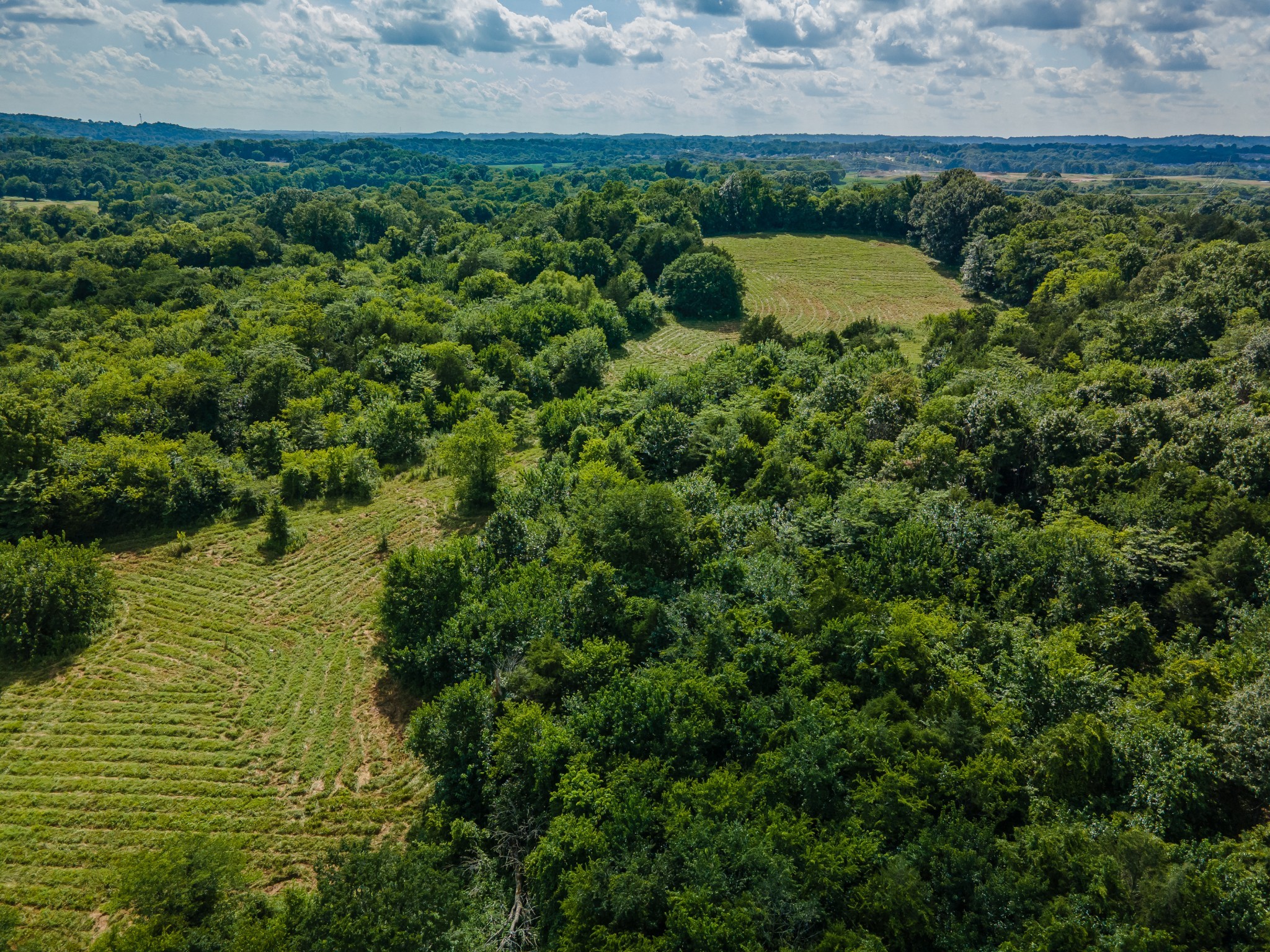 Undisclosed Address Columbia, TN 38401 - Photo 14 of 19 a view of outdoor space and yard