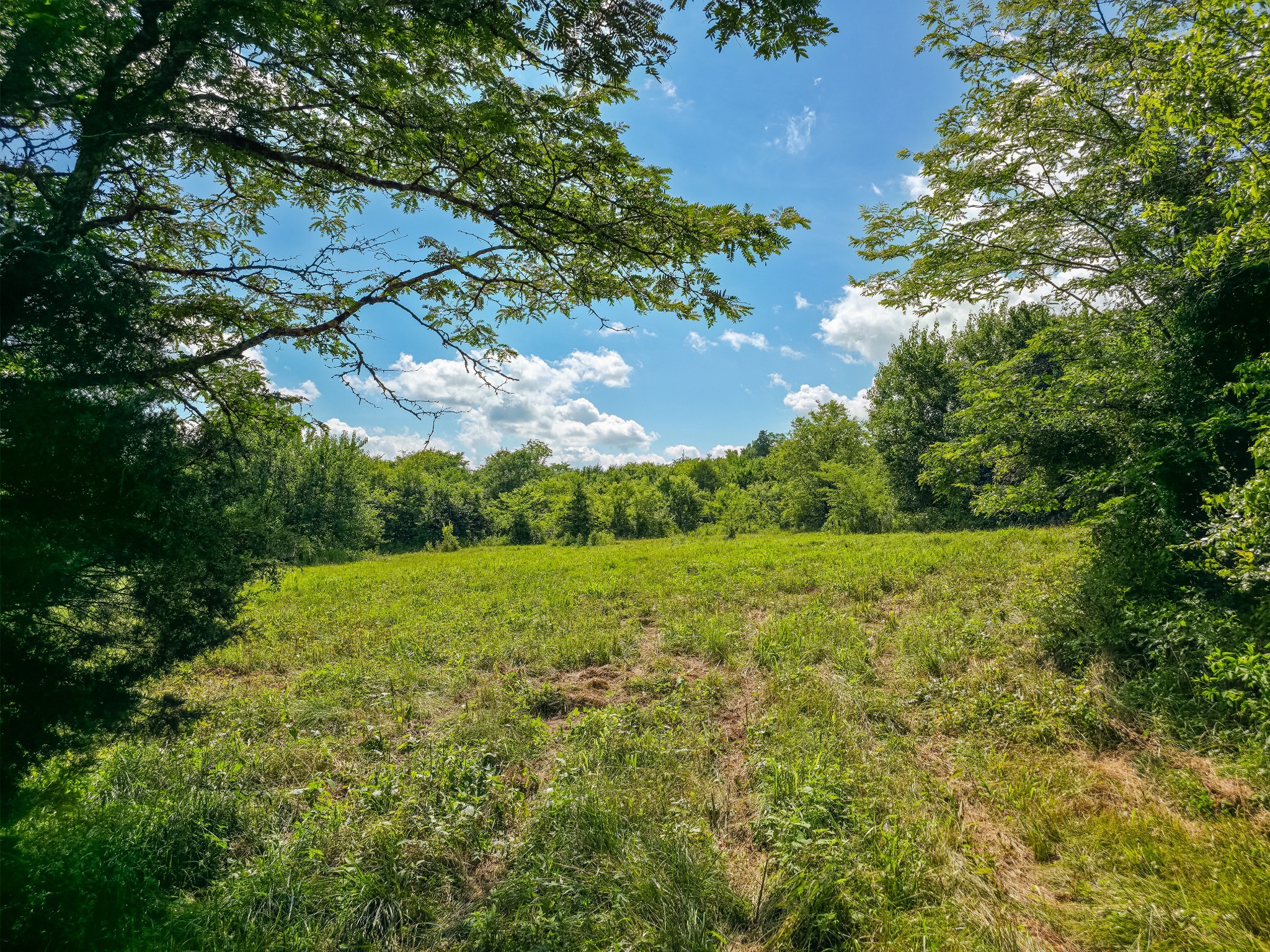 Undisclosed Address Columbia, TN 38401 - Photo 6 of 19 a view of an outdoor space and a yard