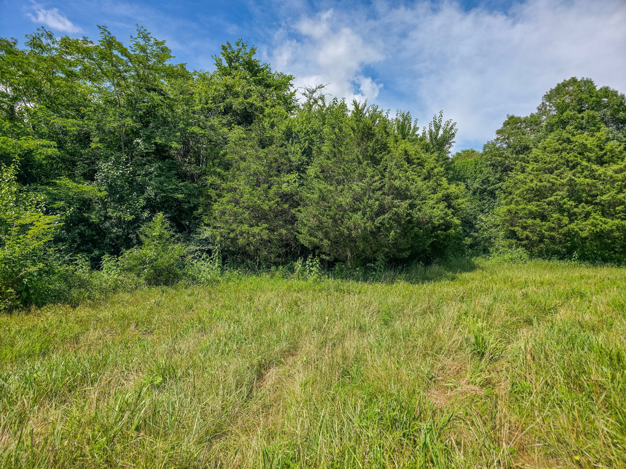 Undisclosed Address Columbia, TN 38401 - Photo 8 of 19 a view of a yard