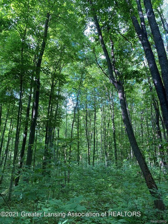0 Olds Road Leslie, MI 49251 - Photo 12 of 15