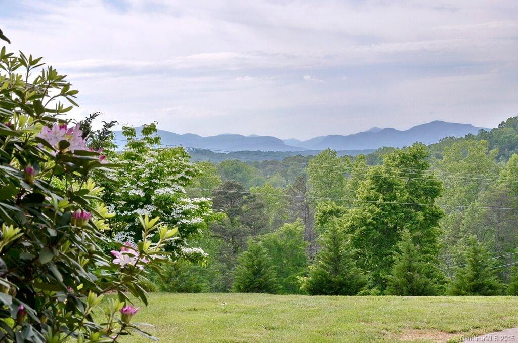 481 Pleasant Hill Road Rutherfordton, NC 28139 - Photo 3 of 15 a view of a lake with a mountain