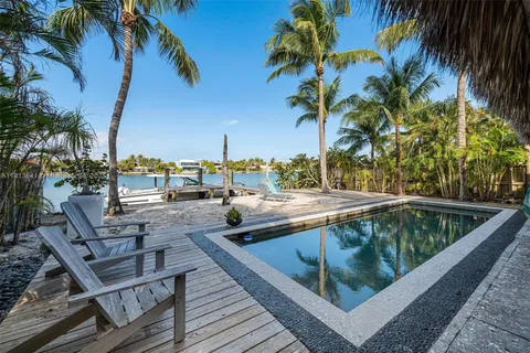 a view of a yard and a palm tree