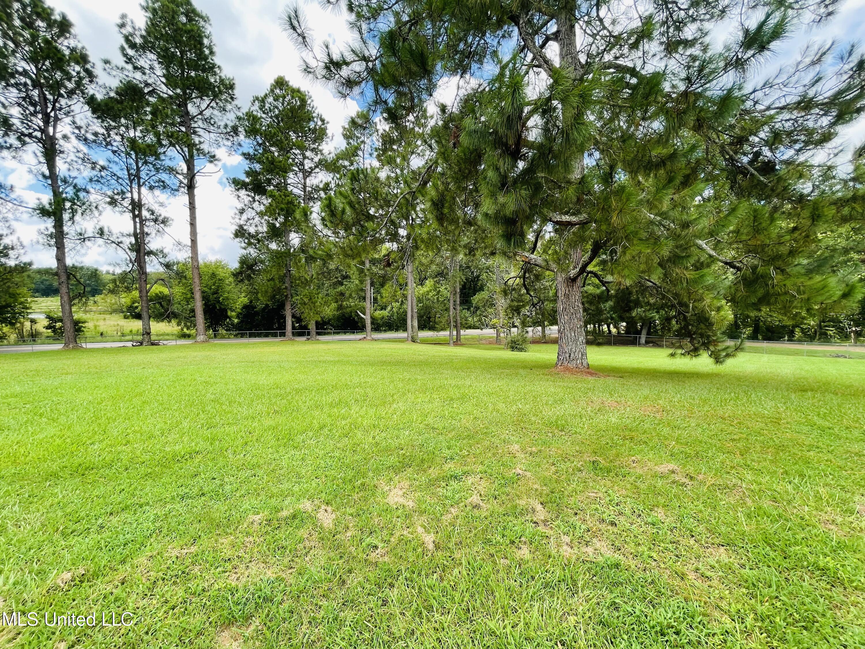 600 Livingston Vernon Road Flora, MS 39071 - Photo 7 of 42 632B626B-52BF-405C-9394-371181443E68