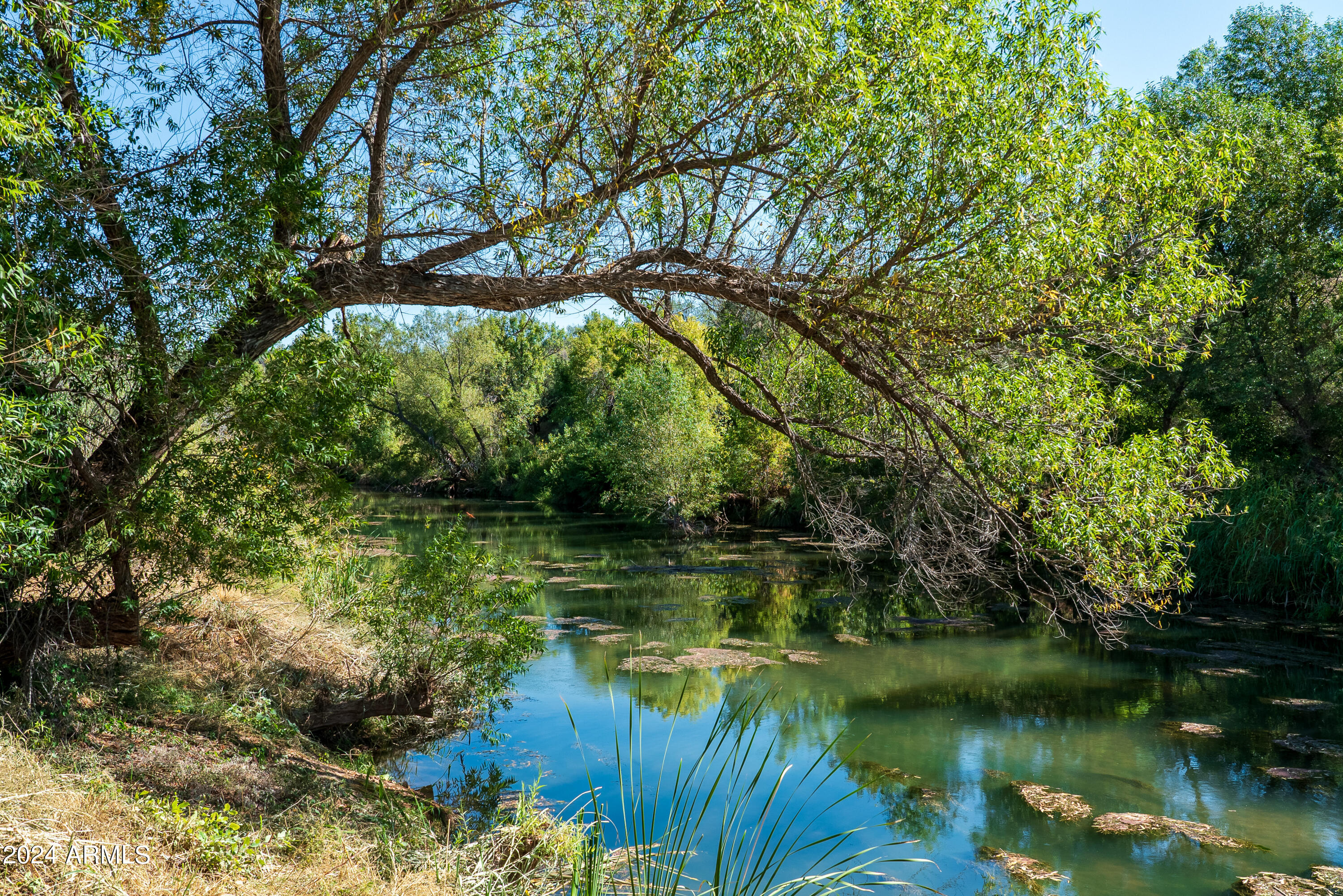 2845 South Sexton Ranch Road Cornville, AZ 86325 - Photo 54 of 62 CREEK PHOTOS IN AUGUST